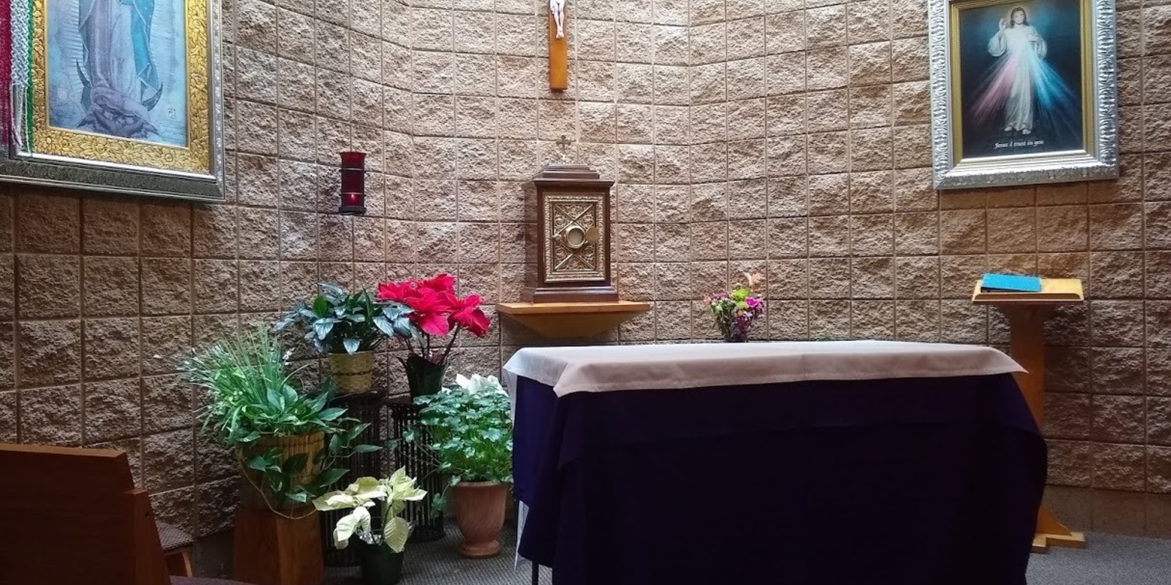  Eucharistic adoration